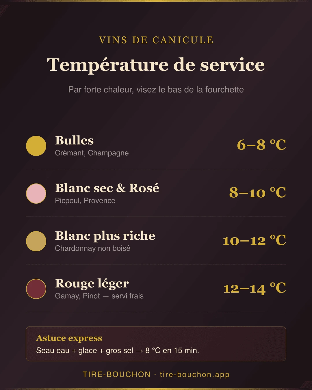 Infographie récapitulative : Quel Vin Boire Pendant la Canicule ? Le Guide des Vins de Forte Chaleur