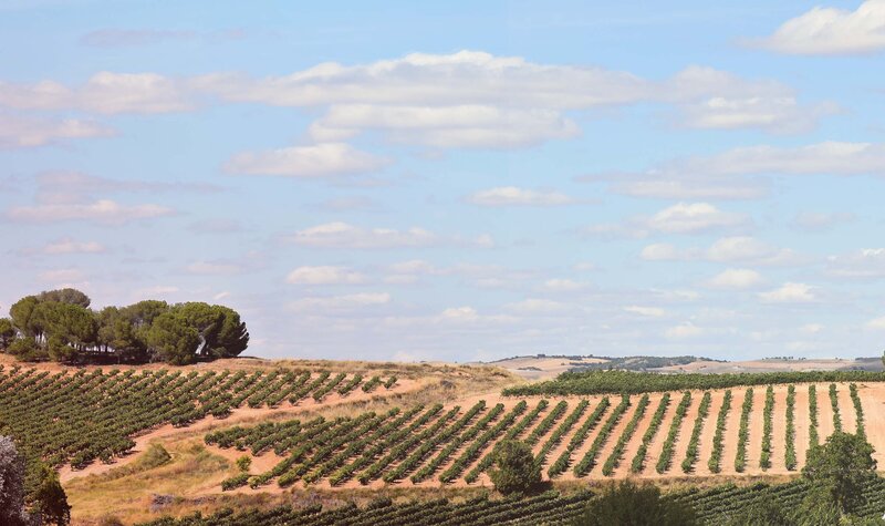 Bodegas Vilano