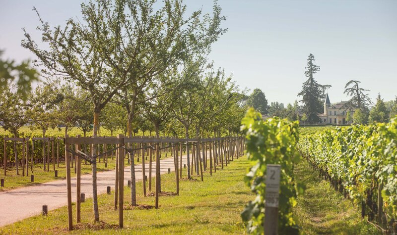Château Cheval Blanc