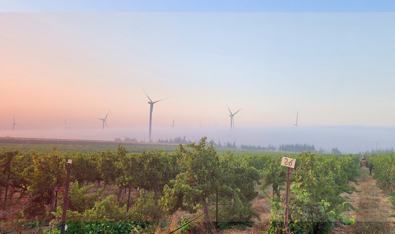 Golan Heights Winery
