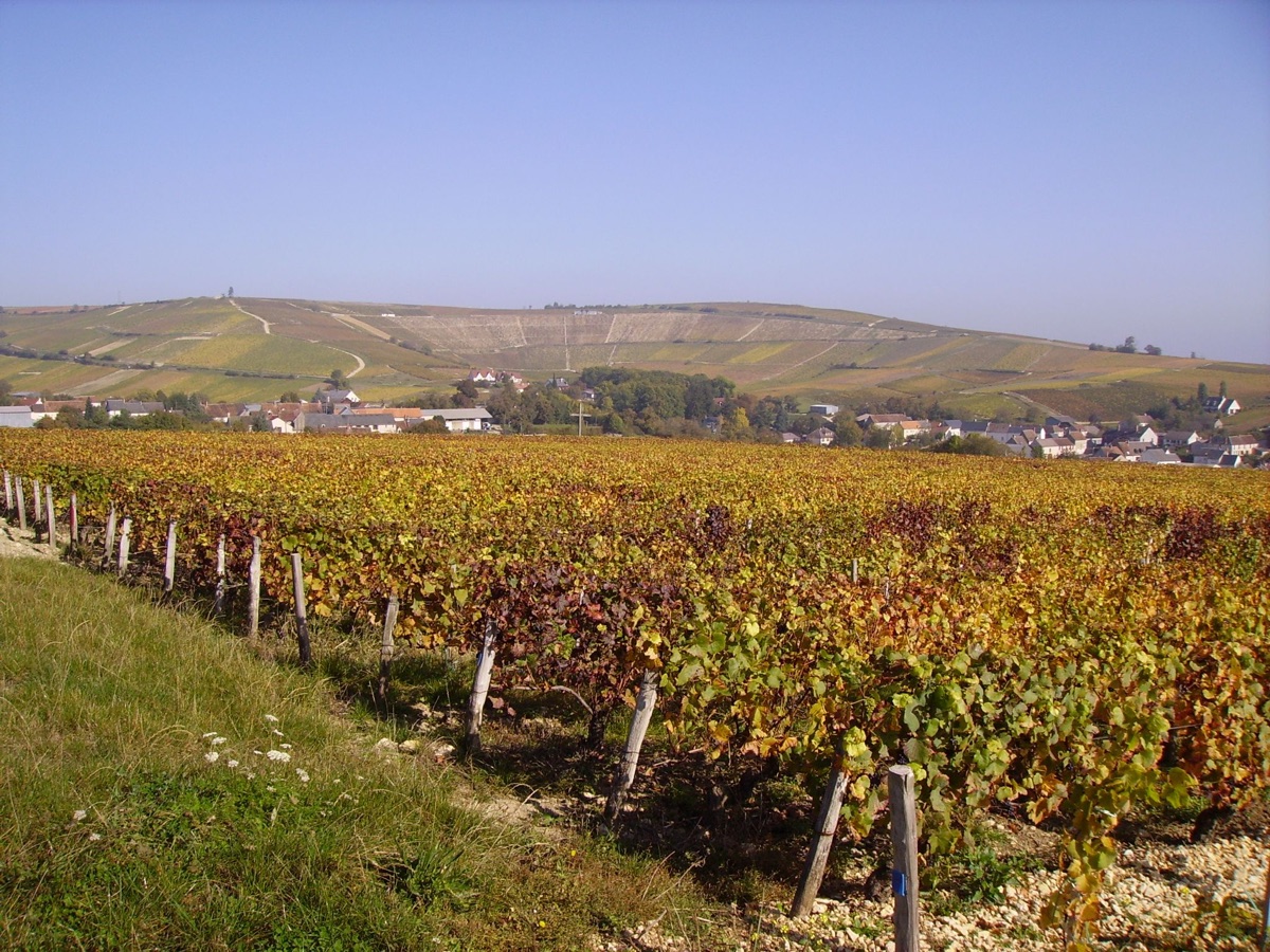Vallée de la Loire