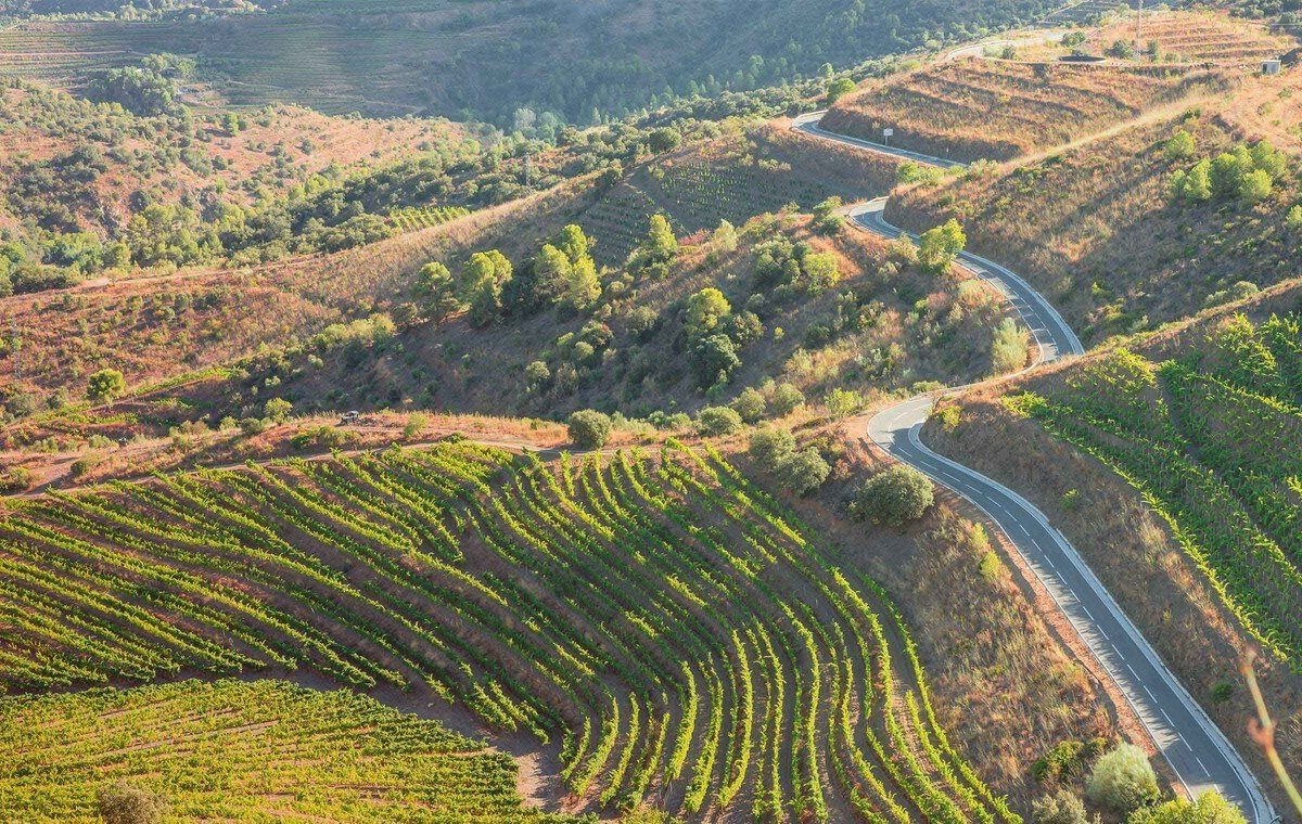 Vignobles de Priorat