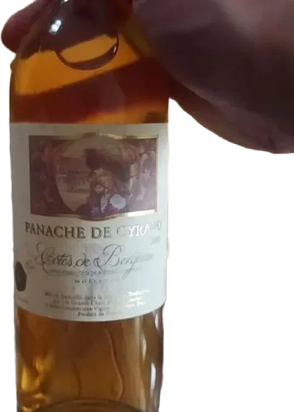 Panache de Cyrano