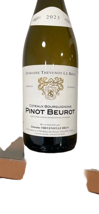 Coteaux Bourguignons Pinot Beurot