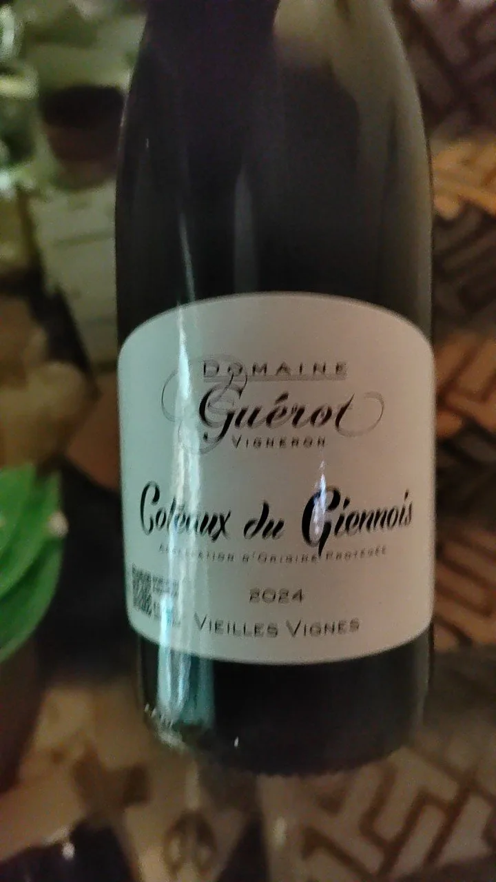 Vieilles Vignes